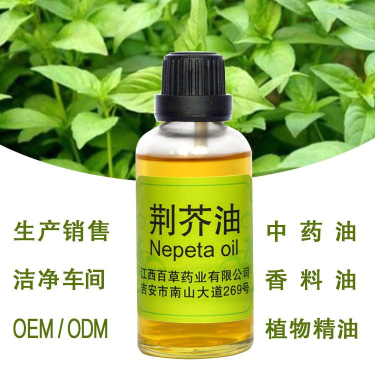 長期供應符合國家標準的荊芥油